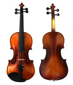 샤콘느 220 바이올린